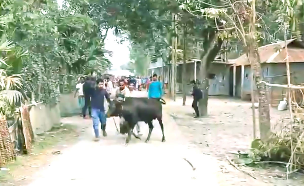 এভাবেই ৯টি গরুসহ সর্বম্ব লুট করে নিয়ে যাওয়া হয়।